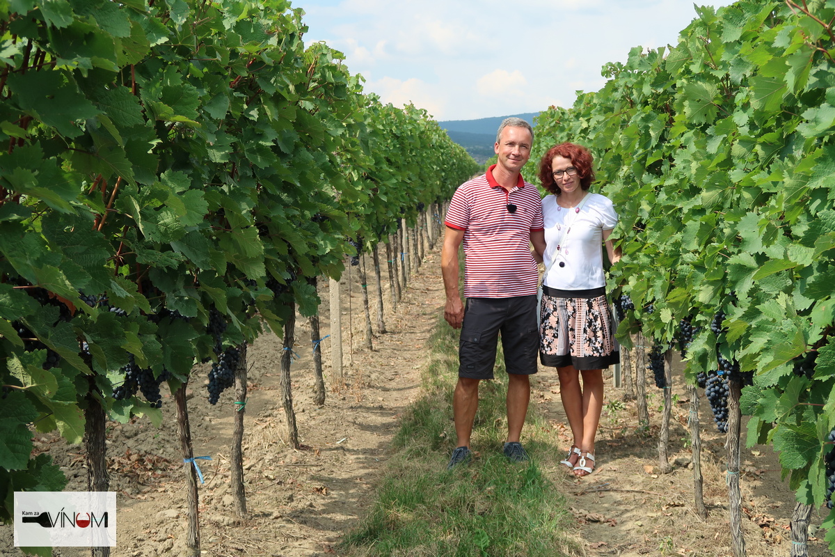 Vinohradníctvo a vinárstvo Skovajsa