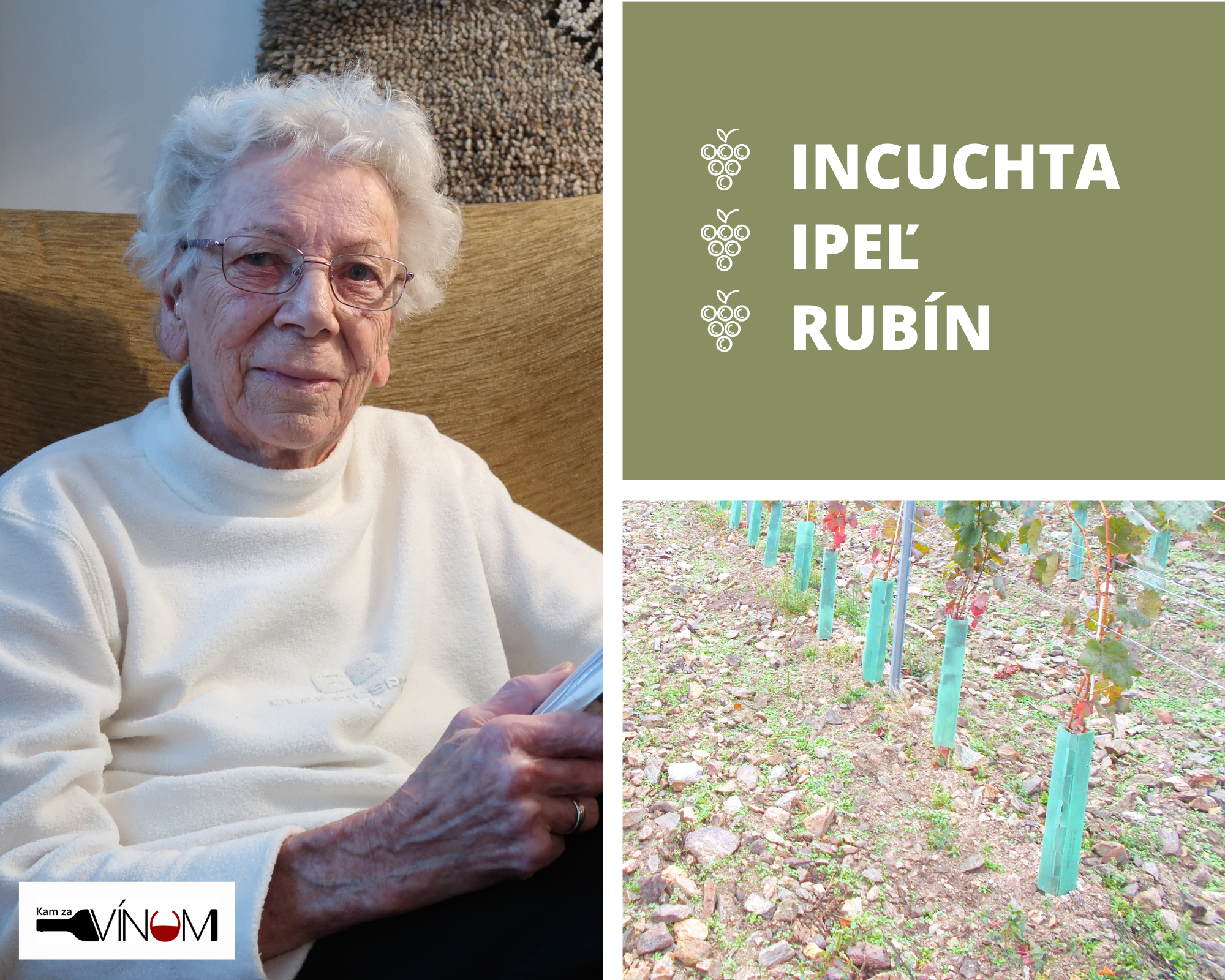 Exkluzívne okienko Doroty Pospíšilovej: Sú prihlásené tri nové odrody do ŠOS