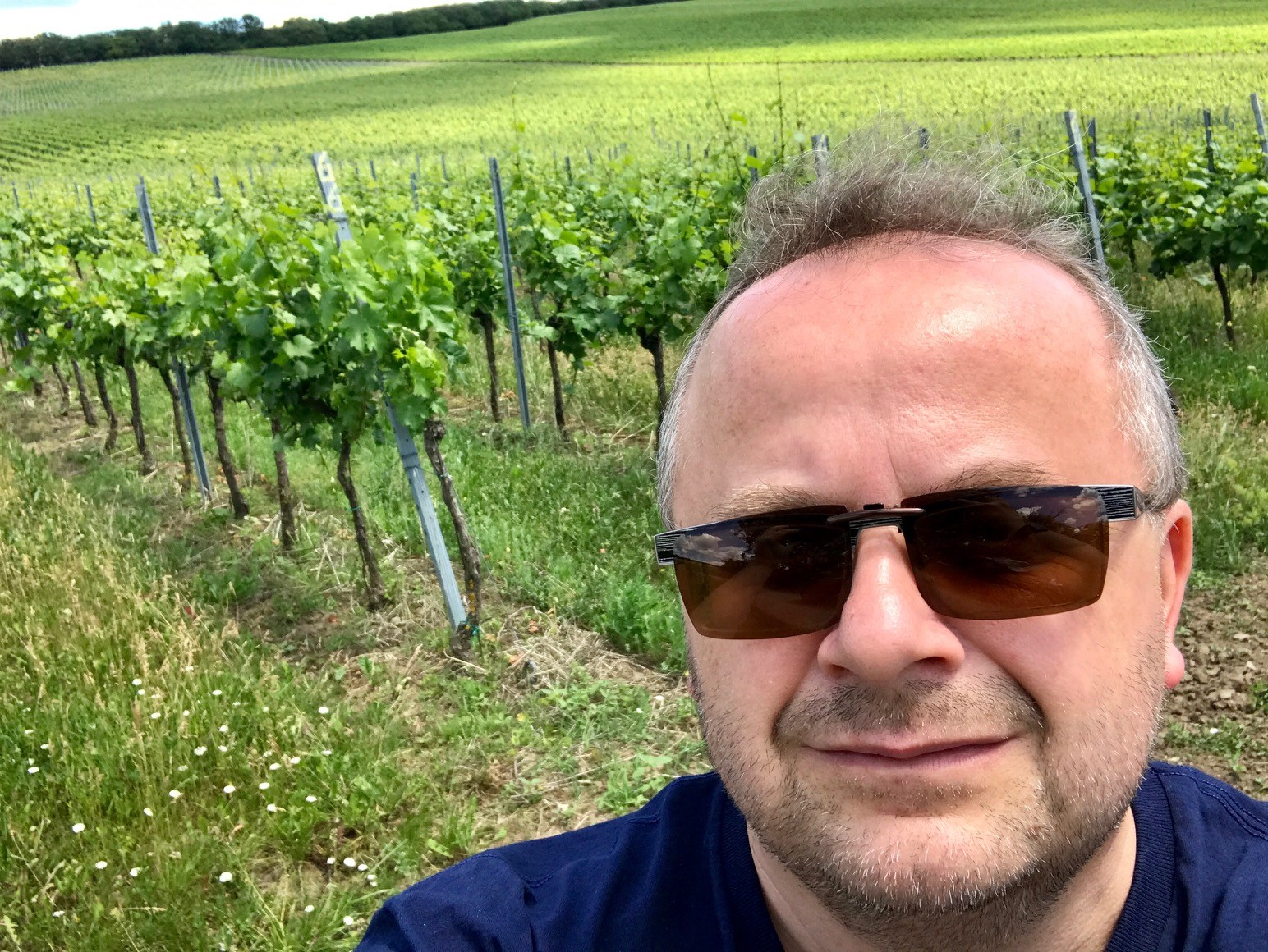 Od ľadovej plochy do vinohradu: Hokejový skaut šíri slávu slovenských vín