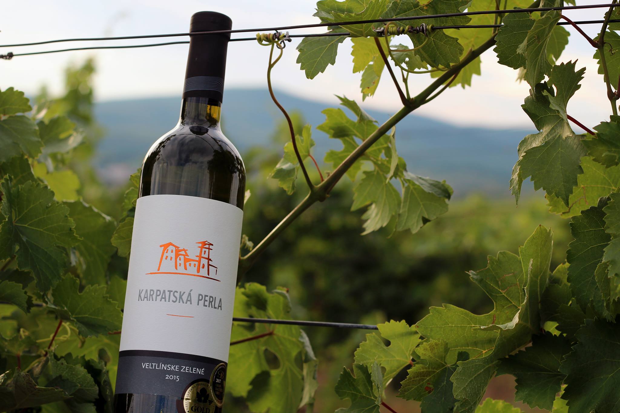 Vertikálna degustácia veltlínov (14.9.2017)