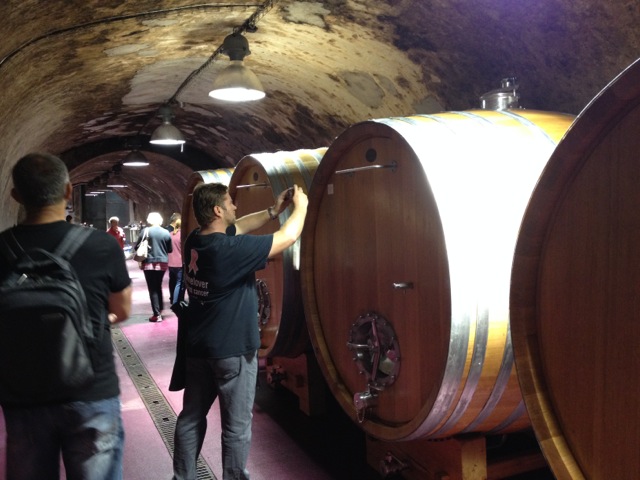 Ochutnávky VÍNO LEVICE (november 2016)