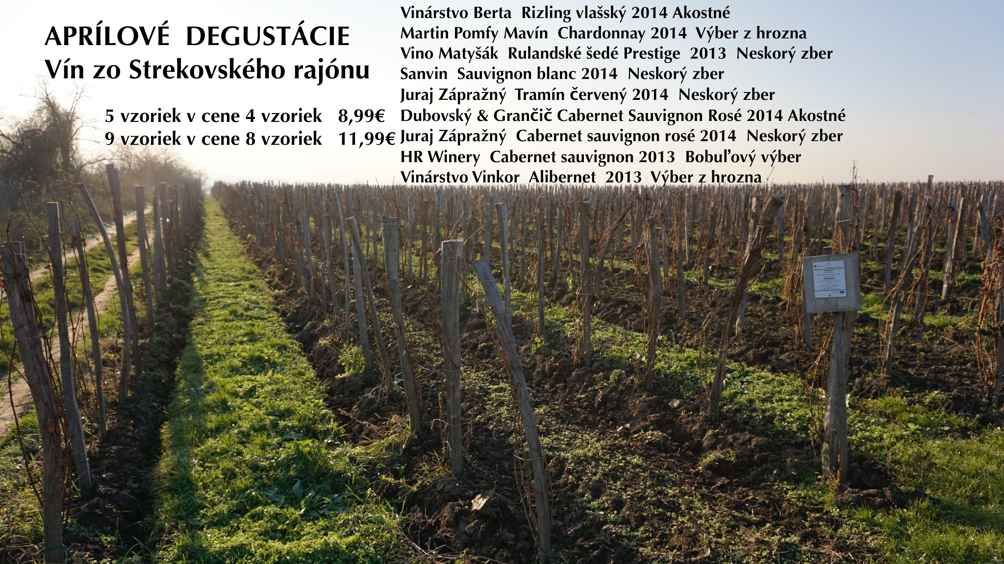 Degustácia vín zo Strekovského rajónu (apríl 2016)