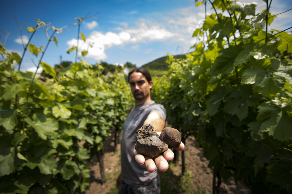 Ochutnajte víno z vulkánu priamo vo vulkáne