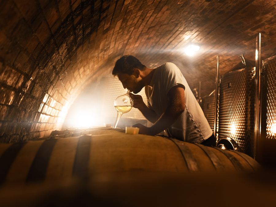 Pozvánka na výstavu “Z Malokarpatskej pôdy”