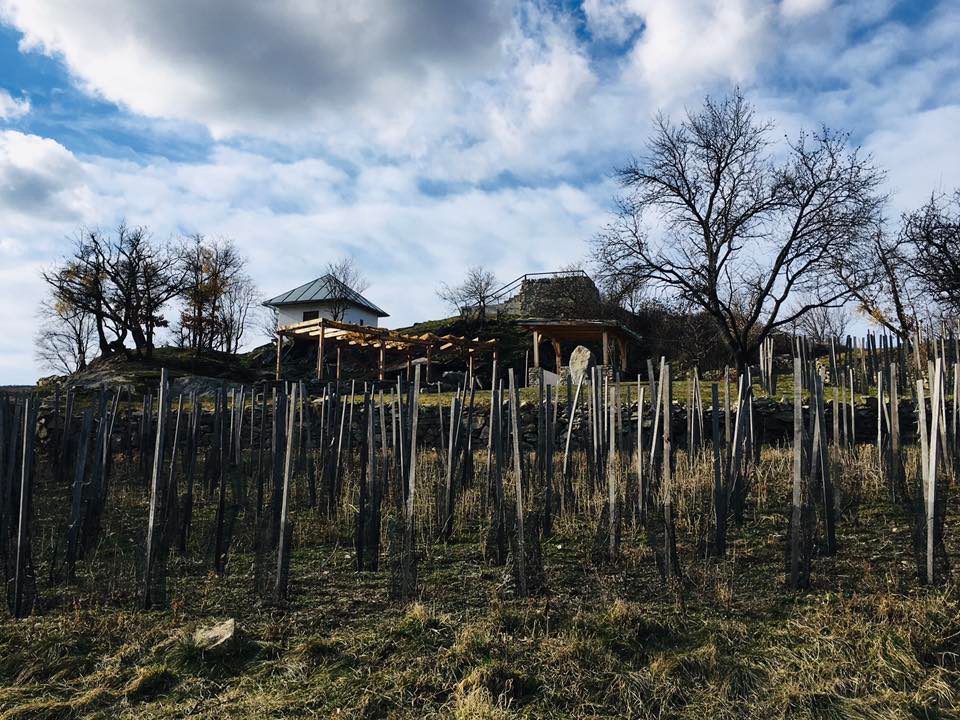 Brigáda vo vinohradníckom skanzene
